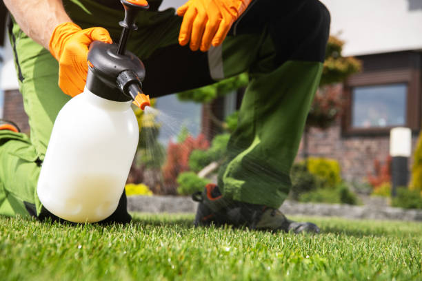 Best Best Pest Control Companies  in Wauconda, IL