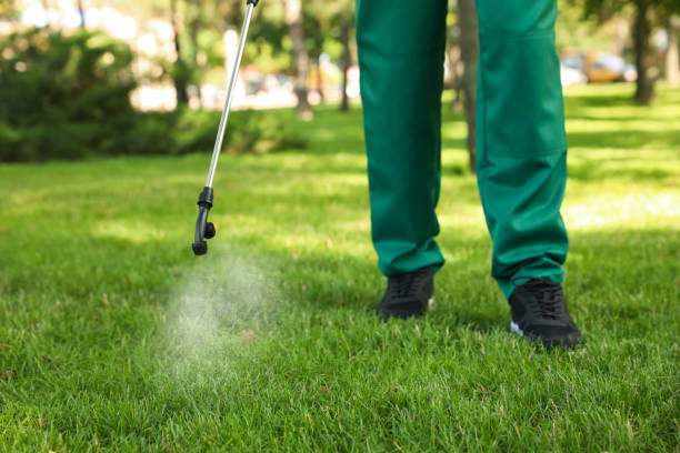 Wildlife Control Services in Wauconda, IL