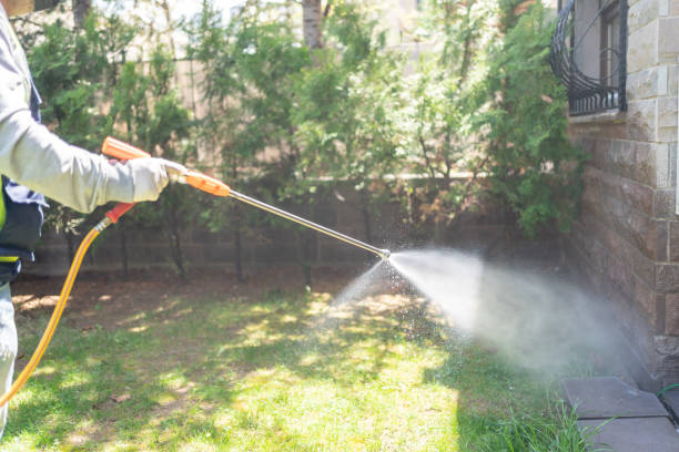 Best Wildlife Control Services  in Wauconda, IL