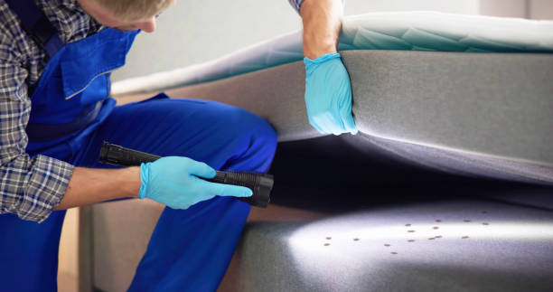 Best Affordable Pest Control Services  in Wauconda, IL