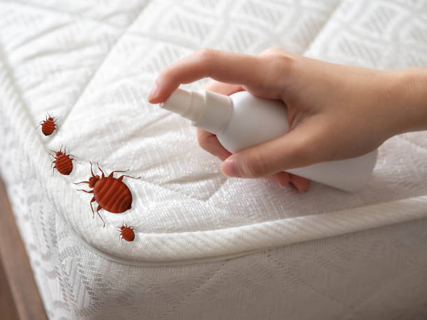 Reliable Wauconda, IL Pest Control Solutions