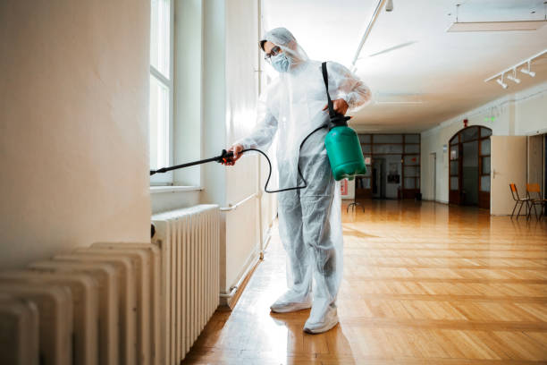 Best Affordable Pest Control Services  in Wauconda, IL