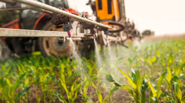 Best Pest Control Cost  in Wauconda, IL